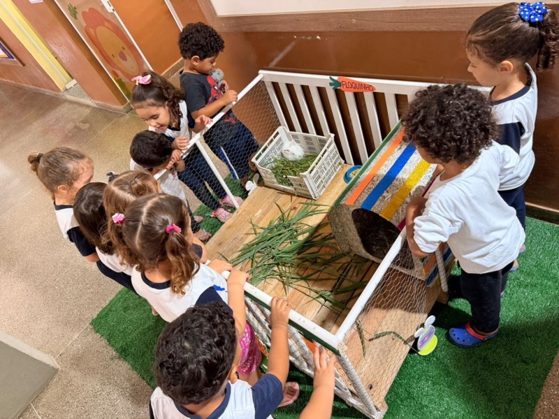 Galeria chegada-do-floquinho